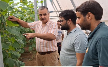 धौलपुर जिले के किसानों ने किया ग्रीन हाउस का अवलोकन
