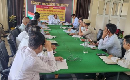 जिला कलेक्टर ने सभी नगर निकायों एवं चिकित्सा विभाग को एंटी लारवा एक्टिविटी व फागिंग करवाने के दिए निर्देश