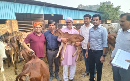 तहसीलदार एवं चिकित्सा अधिकारी  ने श्री मोनी बाबा गौशाला का किया निरीक्षण