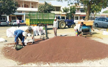 कृषि उपज मंडी यार्ड के बाहर क्षेत्र में कृषि जिंसों का कारोबार करने पर अब देना होगा शुल्क