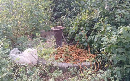 देवनारायण मंदिर से बोरवेल की समरसेबल मोटर चोरी