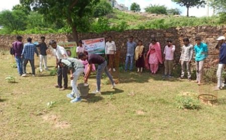 श्री टोडरमल पीजी महाविद्यालय में मनाया स्वच्छता पखवाड़ा, स्वयंसेवको ने किया श्रमदान