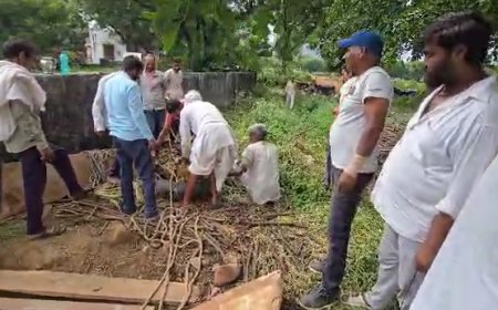 सकुशल निकली गई कुएं मे गिरी बकरियां