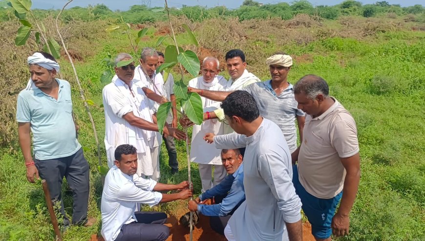 झडाया नगर के पास गोचर भूमि में अपने पूर्वजों की यादगार में लगाए 150 पेड़