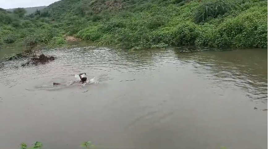 ऐतिहासिक साबोला बांध में पानी की आवक जारी: बांध के पेटे में भूमि, प्लाट, चार दीवारी दुकाने आई चपेट में खतरे की आशंका, हो सकता है बड़ा हादसा