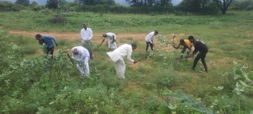 पचलंगी में गांधी जयंती पर आयोजित होने वाले मातेश्वरी कुश्ती दंगल स्थल पर मेला कमेटी के सदस्यों ने किया श्रमदान