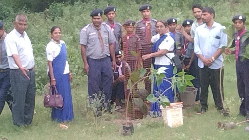 स्काउट पदाधिकारियों द्वारा मामोड़ धाम पर हुआ वृक्षारोपण