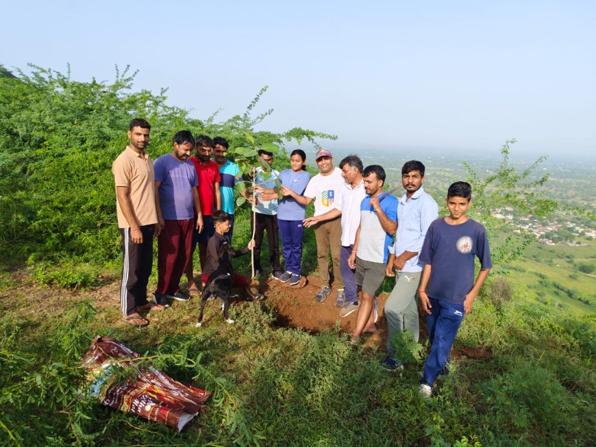 अरावली पर्वतमाला की 300 मीटर ऊंची चोटी पर किया वृक्षारोपण