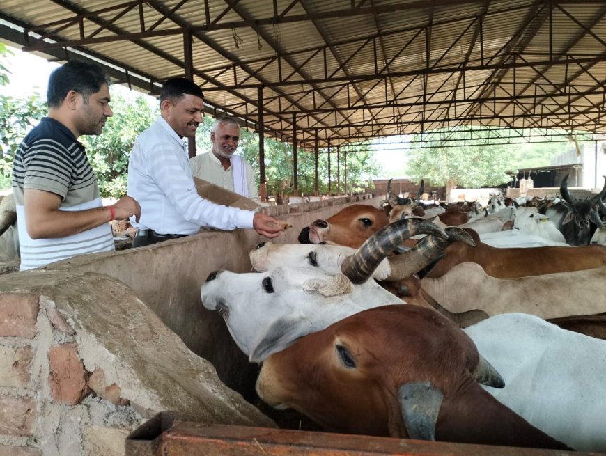 प्रधानमंत्री सुरक्षा अधिकारी ने गौशाला का किया भ्रमण