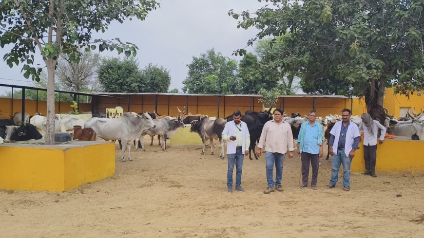 पशुपालन विभाग के जिला उपनिदेशक डॉक्टर मेहरानिया ने किया गौशाला का निरीक्षण