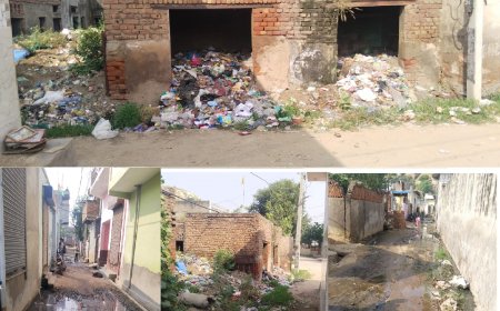 जिला कलेक्टर के निर्देशानुसार अतिरिक्त जिला कलेक्टर ने भिवाड़ी शहर में सफाई व्यवस्था जांचने हेतु किया निरीक्षण