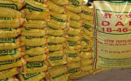 पर्याप्त मात्रा में डीएपी खाद उपलब्ध नहीं:  किल्लत से किसान परेशान