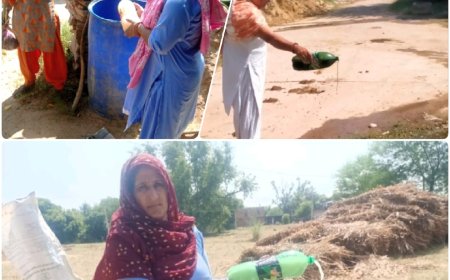 डेंगू रोकथाम गतिविधियां: सभी नोडल अधिकारी  MLO लेकर फिल्ड में पहुंचे, सीएमएचओ की पुनः आमजन से अपील