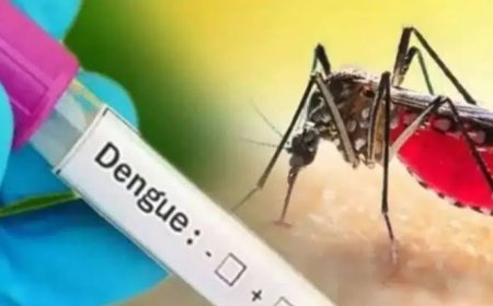 डेंगू का उपचार ले रही महिला की आरबीएम अस्पताल में मौत