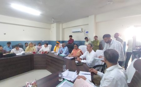 जिला विकास समन्वय एवं निगरानी समिति की बैठक आयोजित