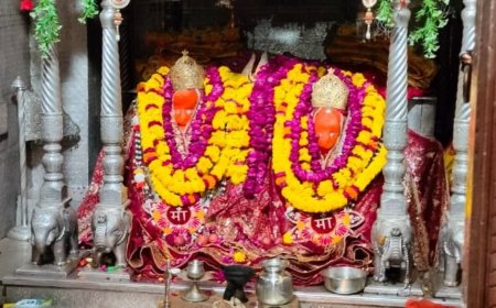 मां शाकंभरी सेवा समिति सकराय धाम के तत्वाधान में किया जा रहा है नवरात्रा महोत्सव का आयोजन