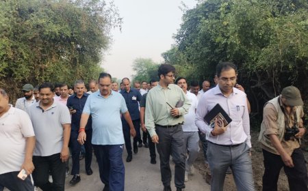 मुख्यमंत्री ने किया केवलादेव घना राष्ट्रीय उद्यान का भ्रमण