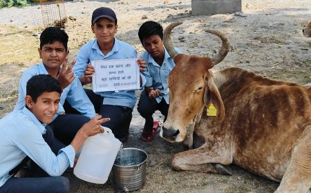 करुणा क्लब सदस्यों ने बीमार निराश्रित गाय की सेवा कर जान बचाई