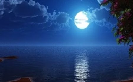 आत्म शांति, स्वास्थ्य लाभ, का पर्व शरद पूनम 16 अक्टूबर को