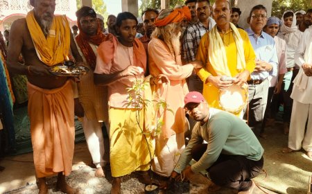 दिल्ली विश्वविद्यालय में डॉ श्यामसुंदर मीना के प्रमोशन पर कार्यकर्ताओ ने लगाए पौधे