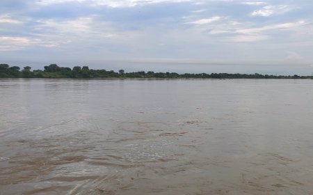 रबी की फ़सल कि तैयारियां, 21 को जल वितरण समिति की बैठक