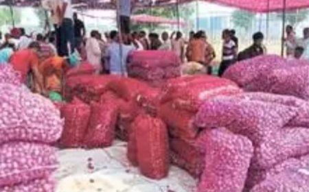 खैरथल की अस्थाई प्याज मंडी में पहले दिन 280 कट्टों की आवक