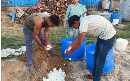 खाद्य विभाग ने हरसौरा में पनीर फैक्ट्री पर की कार्यवाही