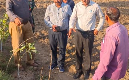 उद्यानिकी विशेषज्ञों ने किया अलवर जिले का दौरा