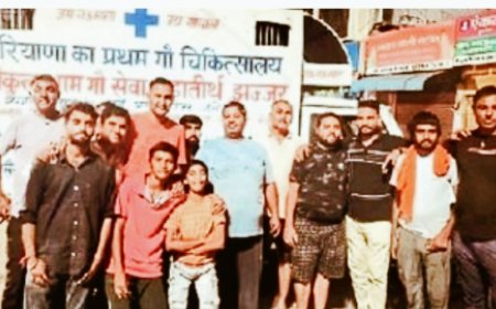 ट्रेन से टकरा कर गंभीर घायल हुए सांड को झज्जर भेजा