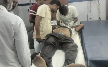 आवारा पशु से टकराया बाइक सवार, गंभीर घायल: हायर सेंटर रेफर