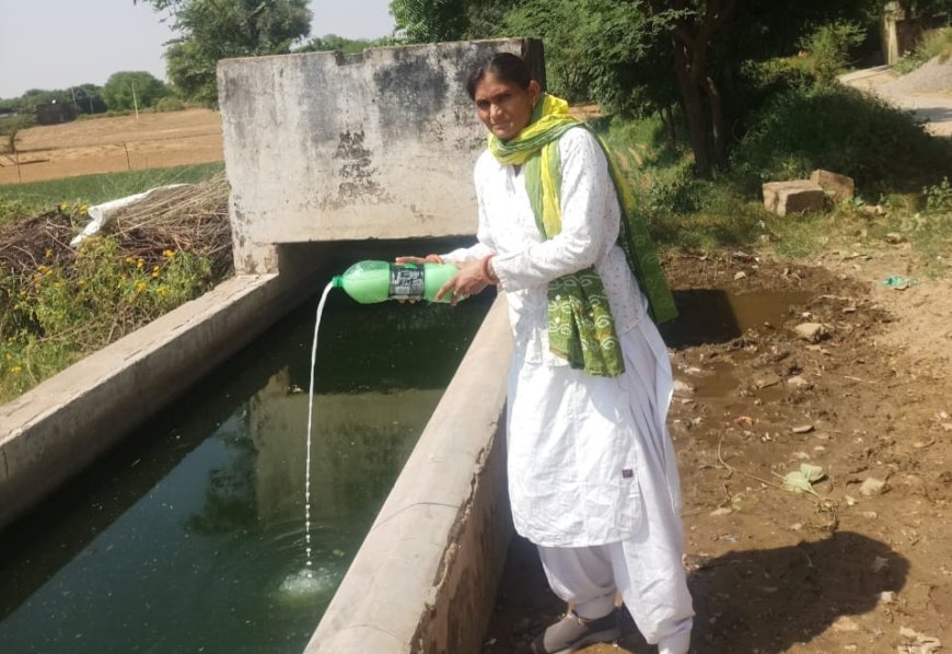 डेंगू रोकथाम गतिविधियां :सभी नोडल अधिकारी फिल्ड में ,सीएमएचओ की पुनः आमजन से अपील