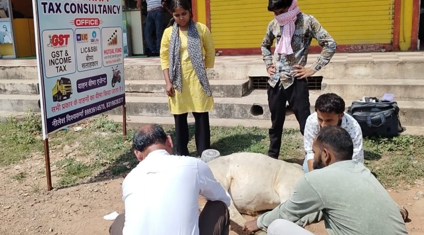 सोशल मीडिया में जहां दुनिया नग्नता फैला रही है वहीं समाज की सेवा करके बना दिया खुद को ब्रांड