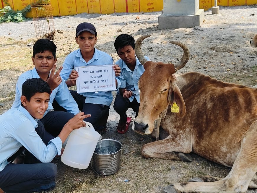 करुणा क्लब सदस्यों ने बीमार निराश्रित गाय की सेवा कर जान बचाई