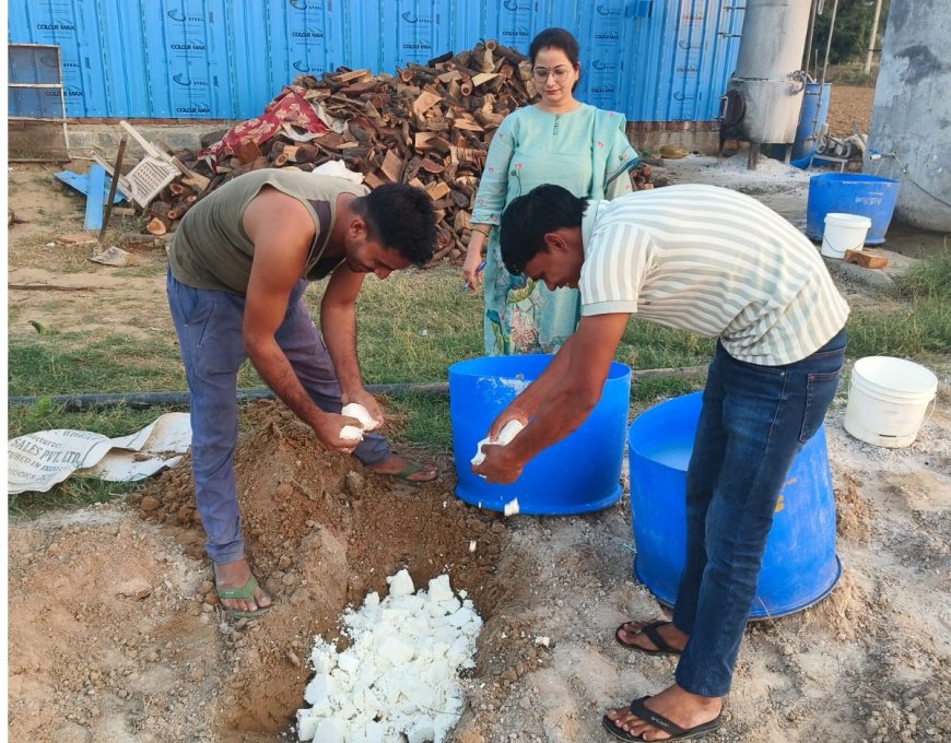 खाद्य विभाग ने हरसौरा में पनीर फैक्ट्री पर की कार्यवाही