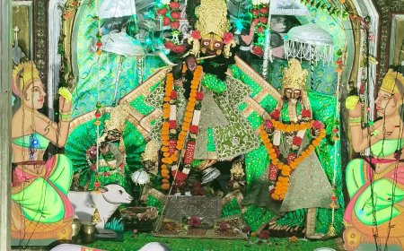 जिले भर के मंदिरों में मनाया अन्नकूट महोत्सव सैंकड़ों शृद्वालुओं ने की प्रसादी ग्रहण