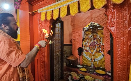 लोहार्गल धाम रामानुज सूर्य मठ मंदिर में अन्नकूट महोत्सव का हुआ आयोजन