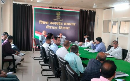 जिला कलेक्टर ने ली डीएचएस की बैठक