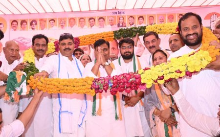 कांग्रेस के प्रदेश अध्यक्ष ने की बड़ौदामेव में जनसभा आर्यन जुबेर के पक्ष में मांगे वोट