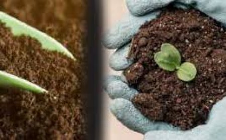 गोवर्धन जैविक उर्वरक योजना शुरू,  वर्मी कम्पोस्ट यूनिट लगाने पर मिलेंगे 10 हजार रुपए