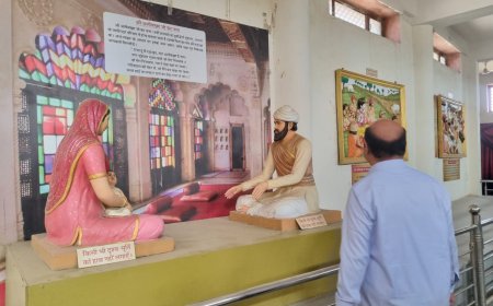 जिला कलेक्टर ने अलीबक्श पैनोरमा का किया निरीक्षण