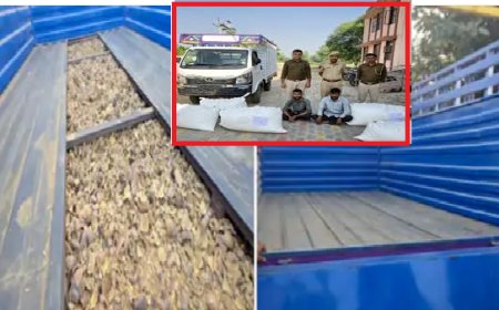 बिना नंबर की गाड़ी में गुप्त चैंबर बनाकर तस्करी: 21 लाख के डोडा-चूरा सहित दो गिरफ्तार