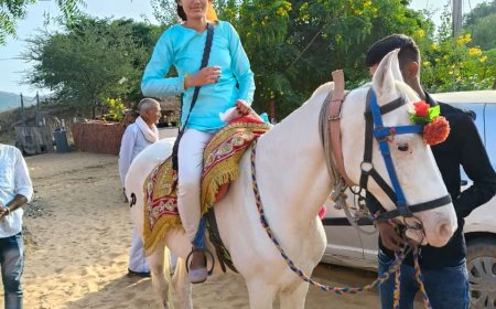 जेतपुरा माहिच कृषि फार्म की लाडली बिटिया संजू माहिच की घोड़ी पर बैठाकर निकाली  बंदोरी