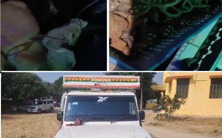 कठूमर थाना पुलिस ने पांच गौवंश सहित अवैध हथकढ शराब की बरामद: नाकाबंदी तोड़ कर गौतस्कर हुए फरार