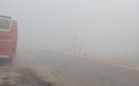 सीजन का पहला कोहरा छाया, सरसों और गेहूं की फसल को लाभ