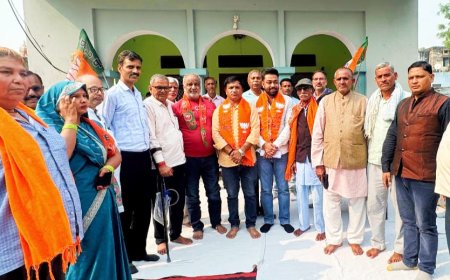 बहादुरपुर मंडल में आयोजित हुई भाजपा संगठन महापर्व कार्यशाला