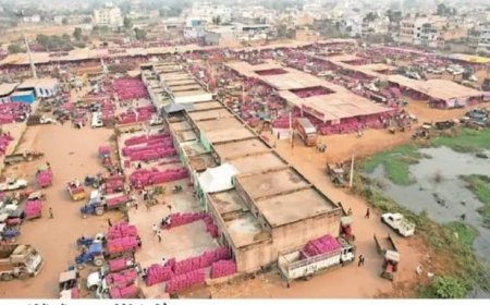 मंडी में बिना गेट पास नहीं होगी प्याज खरीद, नियम विरूद्ध खरीद पर निरस्त होगा व्यापारी का लाइसेंस