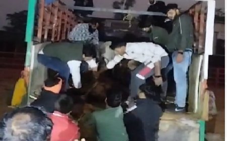 सर्दियों की आहट के साथ गौवंश की तस्करी में इजाफा रैणी पुलिस ने गौवंश से भरा ट्रक पकड़ा