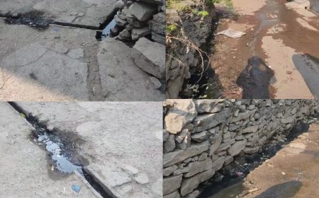 रायपुर नगर पालिका की अनदेखी वार्डों में नाली वह रोड की समस्या आई सामने