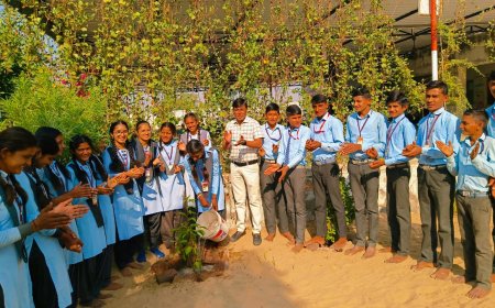 छात्रा ने जन्मदिन पर विद्यालय में पौधारोपण कर दिया पर्यावरण संरक्षण का संदेश