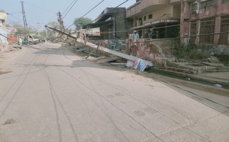 ट्रोले की टक्कर से टूटा बिजली का खंभा,सात घंटे तक बिजली सप्लाई रही बाधित